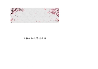 工程精细化管控表格模板