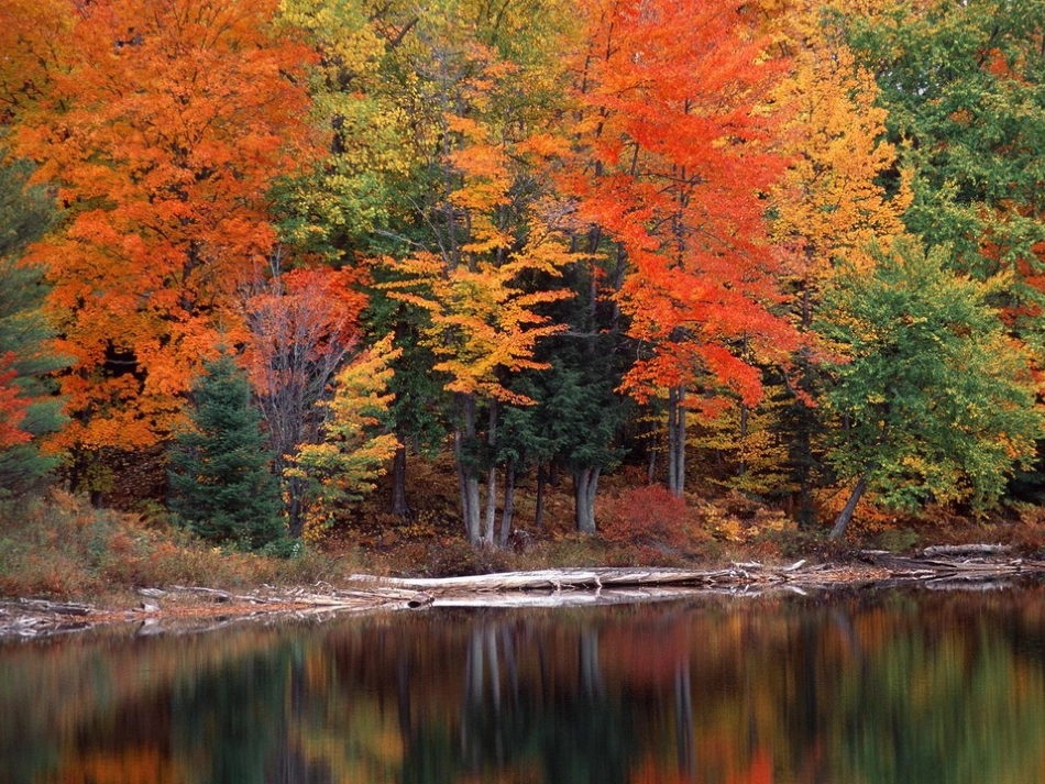 《秋词》课件_第2页