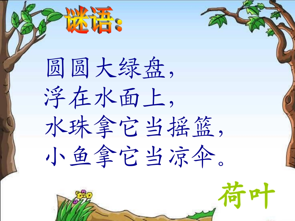 荷叶圆圆课件4_第2页