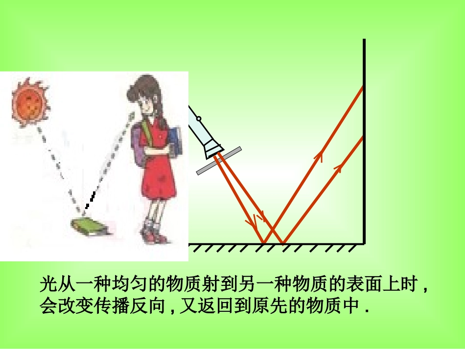 光的反射课件_第2页