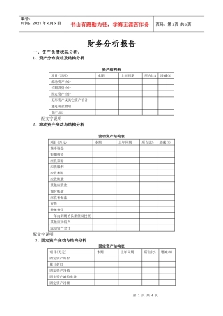 某集团公司财务分析模板