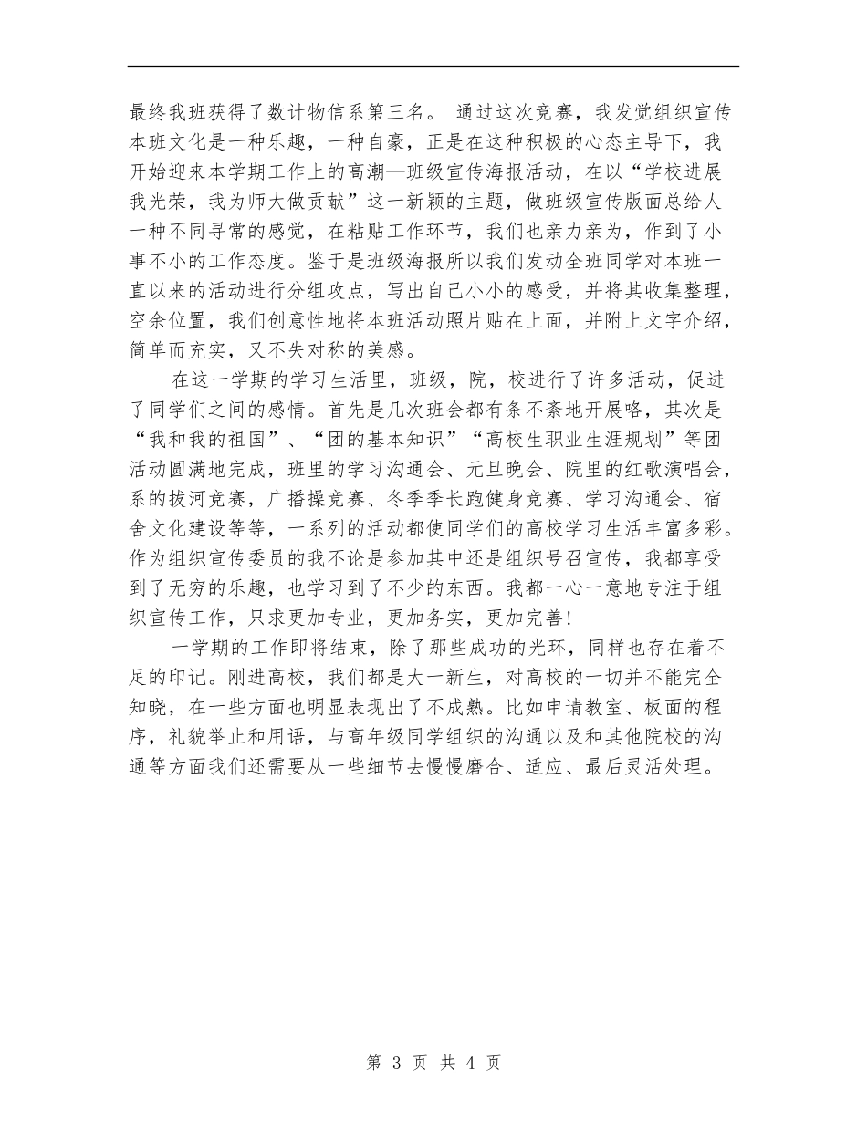 组织宣传委员年终总结_第3页