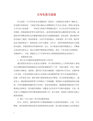 大专生实习总结 