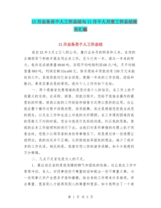 11月业务员个人工作总结与11月个人月度工作总结报告汇编