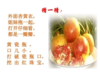 《石榴》课件 (2)