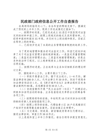 民政部门政府信息公开工作自查报告