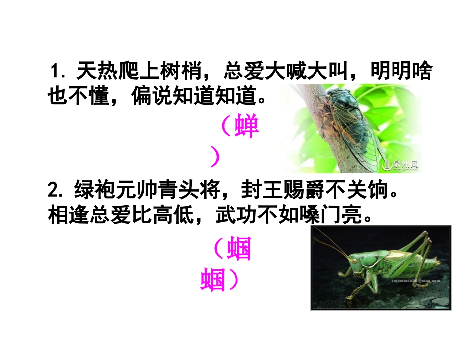 绿色蝈蝈课件（成品）_第2页
