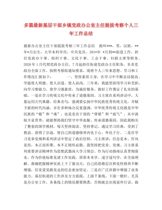 多篇最新基层干部乡镇党政办公室主任提拔考察个人三年工作总结 