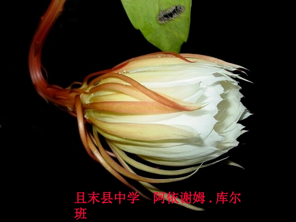 等效平衡问题及解题思路_第1页