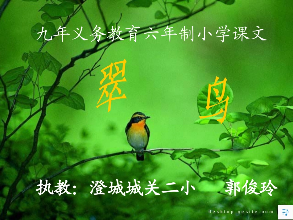 翠鸟课件 (3)_第1页