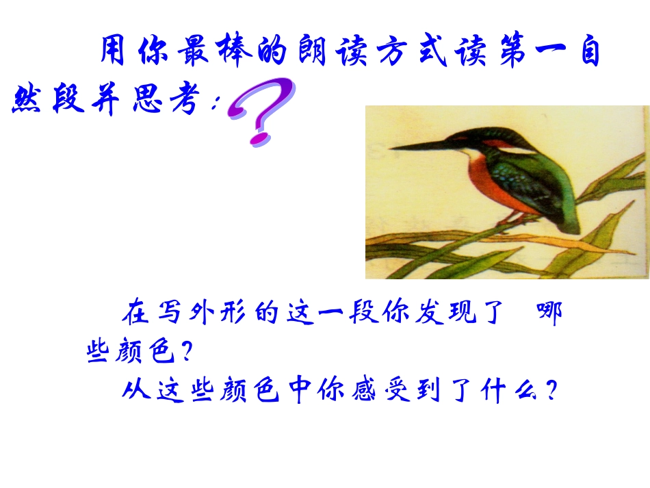 翠鸟课件 (3)_第3页