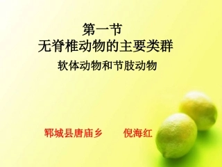 软体动物和节肢动物