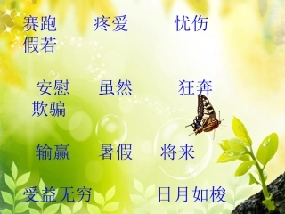 和时间赛跑课件薛琼丹