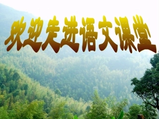 广告多棱镜_公开课