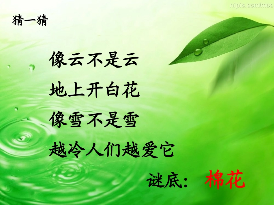 《棉花姑娘》课件 (2)_第2页