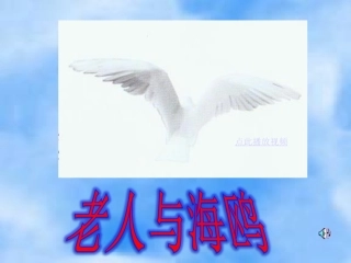 老人与海鸥课件2