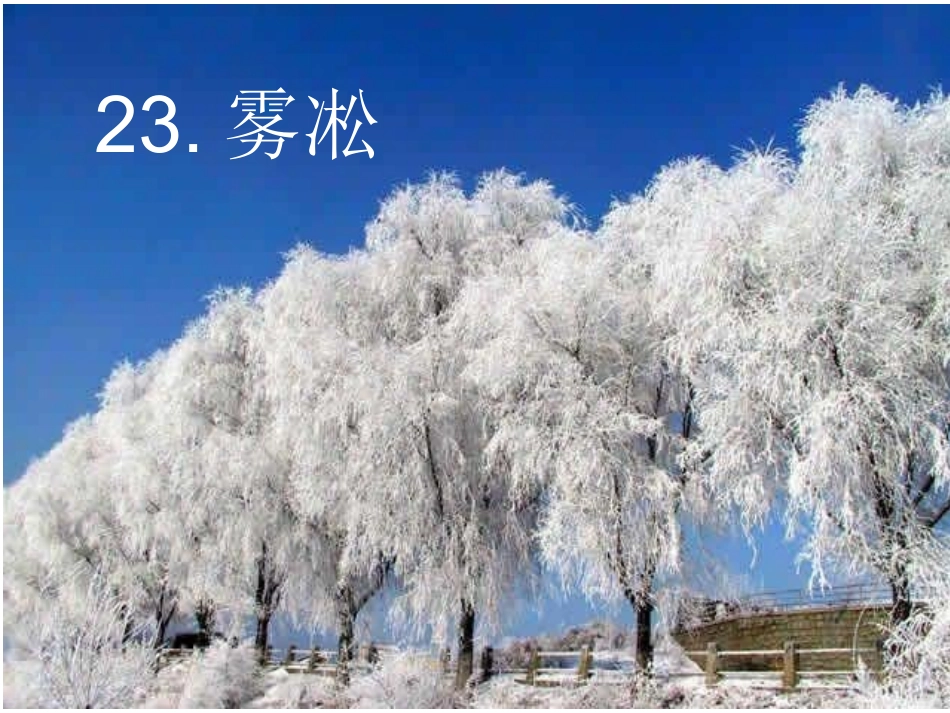 《雾凇》课件_第2页