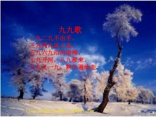 《雾凇》课件