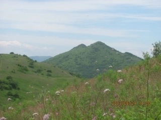 《小数的大小比较》PPT课件