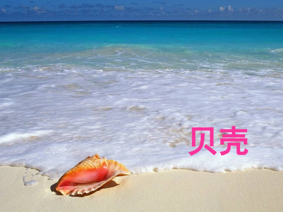 短文两篇(蝉贝壳)_第3页