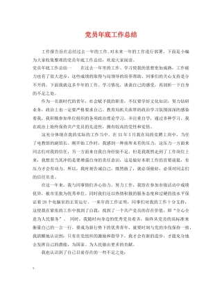 党员年底工作总结 