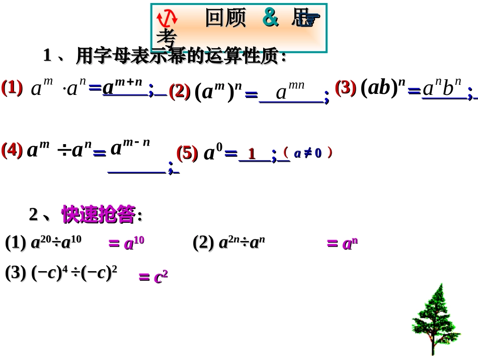 单项式除以单项式_第3页
