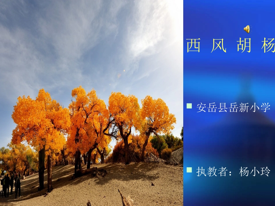 西风胡杨演示文稿1_第1页