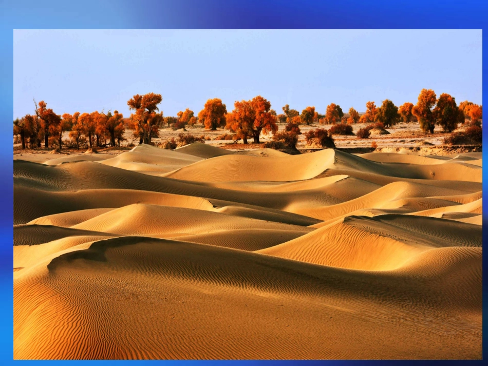 西风胡杨演示文稿1_第2页