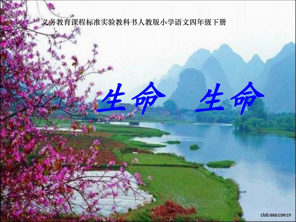 人教四下《生命生命》课件_第1页