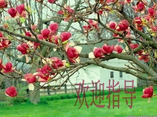 平行四边形的判定（1）
