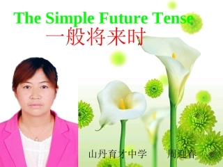 一般将来时(小结)