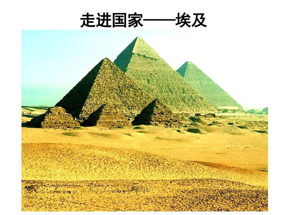 （参赛）埃及_第2页