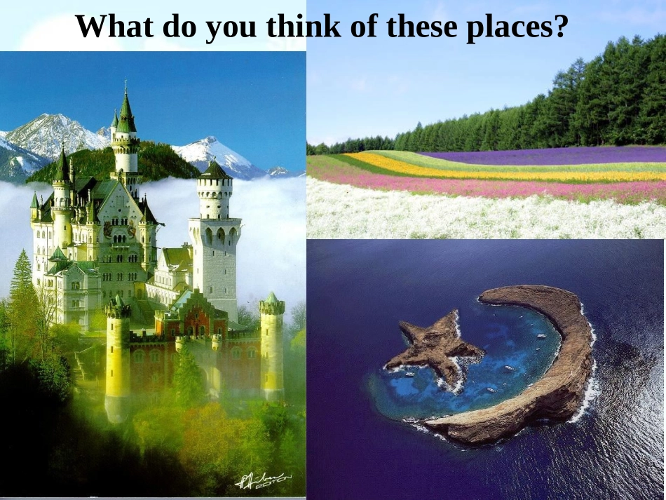 新目标九年级第七单元SectionA_第2页