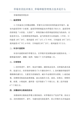 草莓育苗技术要点草莓种植管理要点技术是什么