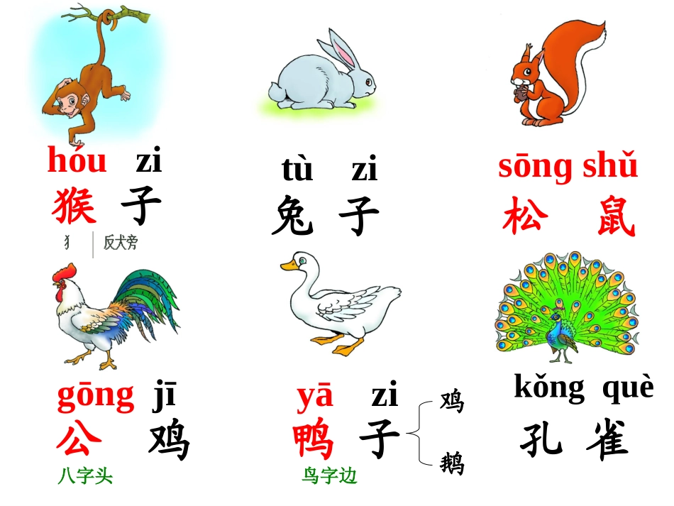 人教版_一年级_上册_语文《10比尾巴》课件__第3页