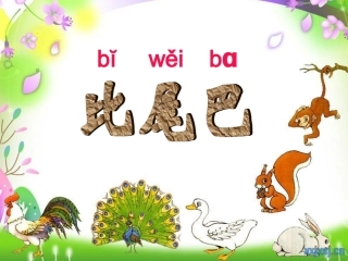 课件《比尾巴》