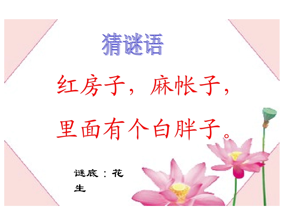 人教新课标版小学一上《小松鼠找花生》课件_第3页