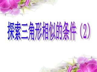 探索三角形相似的条件2