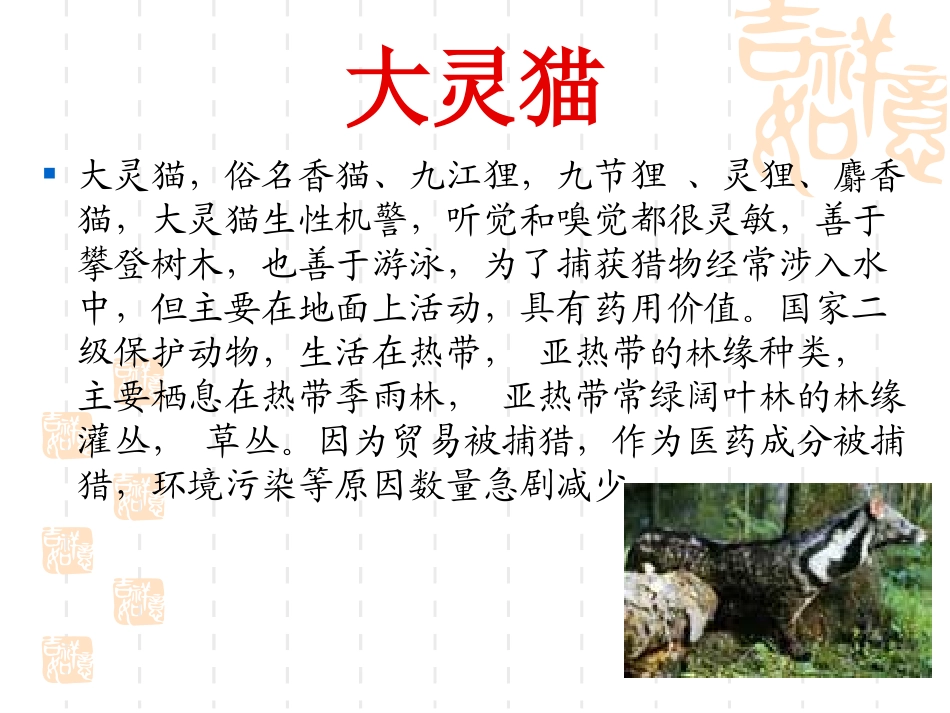 我国部分珍稀动物_第3页