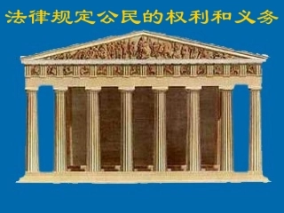 法律规定公民的权利和义务(鲁教版)
