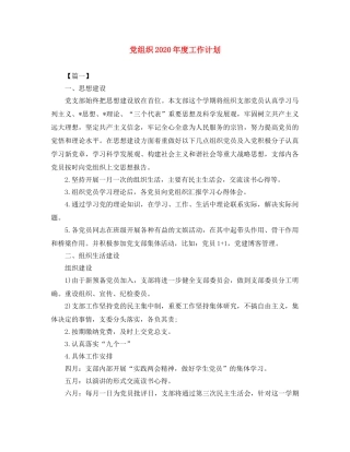 党组织2020年度工作计划 