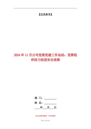 2024年11月公司党委党建工作总结：发挥组织活力促进安全发展