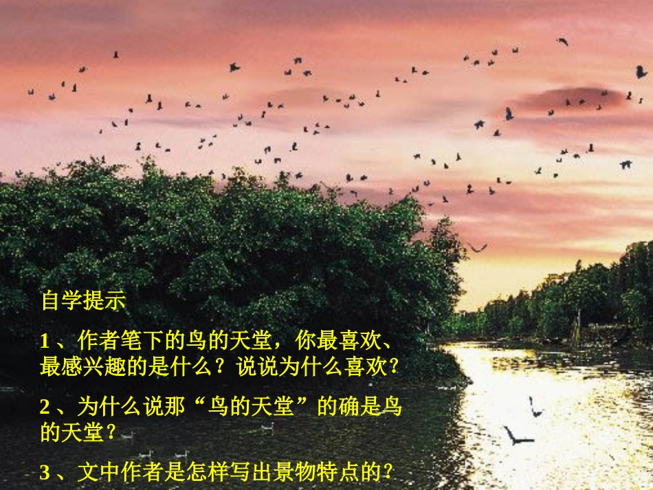 鸟的天堂 (2)_第2页