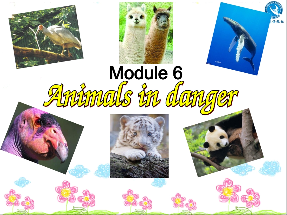 八上外研Module6Unit1_第1页
