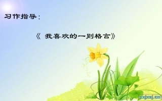 习作指导《_我喜欢的一则格言》