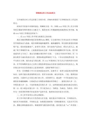导购营业员工作总结范文 