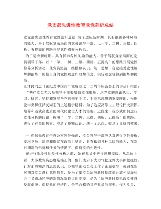 党支部先进性教育党性剖析总结 