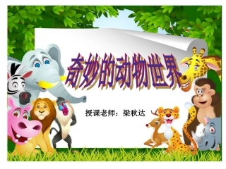 奇妙的动物世界