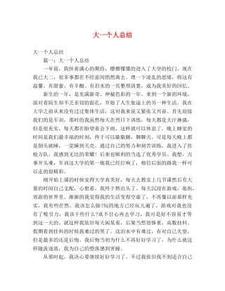 大一个人总结 