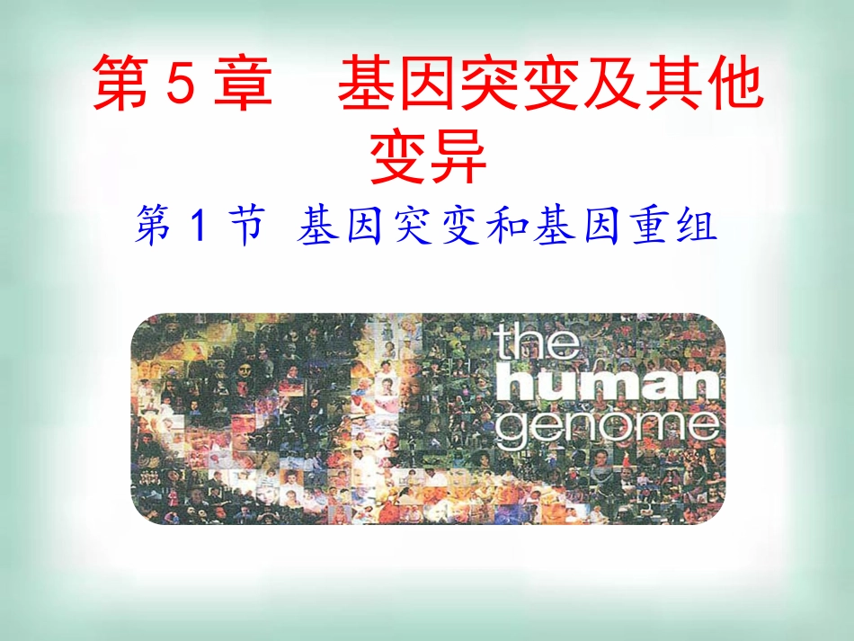 高中生物《51基因突变和基因重组》课件新人教版必修2_第1页
